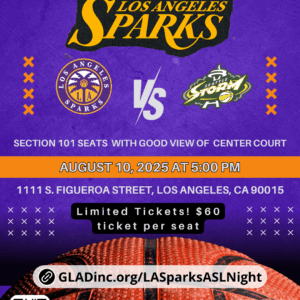 WNBA Sparks vs Seattle Storm Game Ticket – August 10 2025